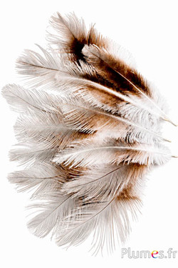 Kranich - 10-14 cm - weiss-grau natur